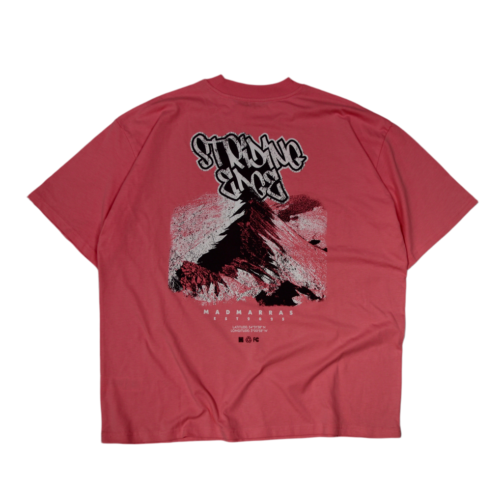 Striding edge Tee